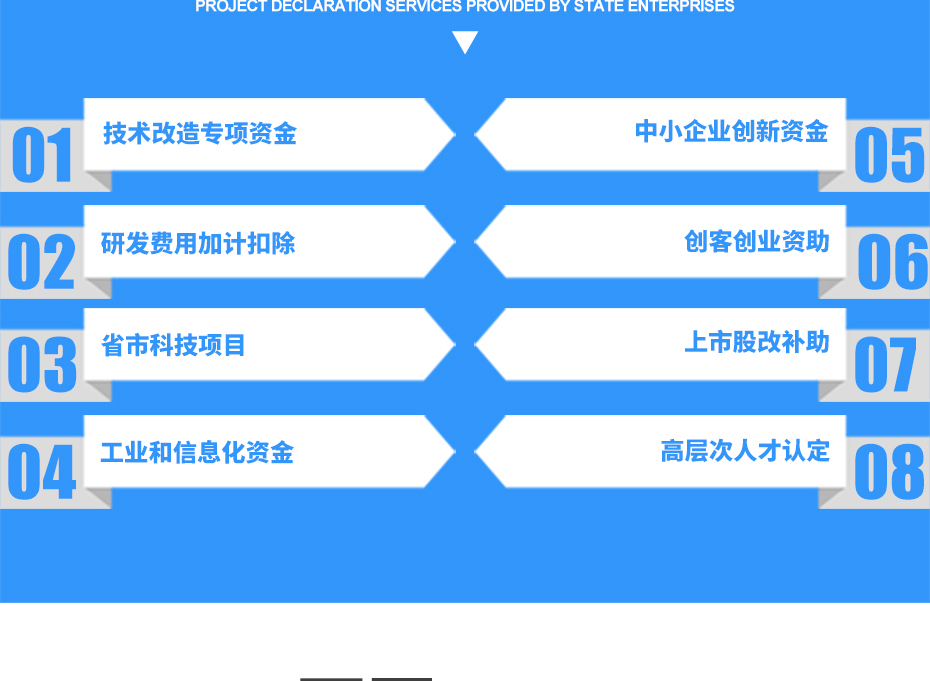 （技術(shù)改造）項目申報_09